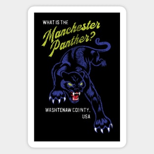 What Is the Manchester Panther Magnet